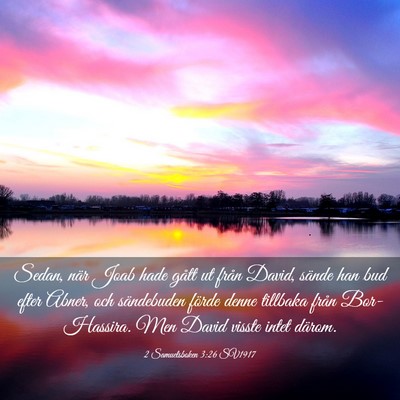 Picture 03 - 2 Samuelsboken 3:26 SV1917 - Sedan, när Joab hade gått ut från David, - Bible Verse Picture
