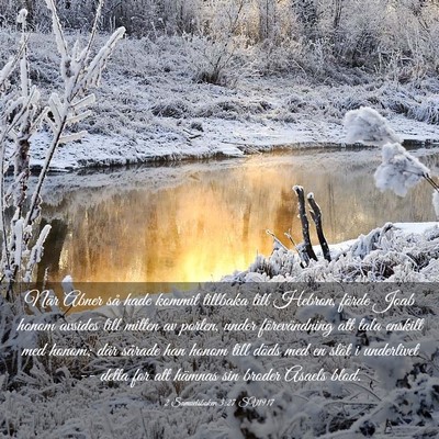 Picture 03 - 2 Samuelsboken 3:27 SV1917 - När Abner så hade kommit tillbaka till Hebron, - Bible Verse Picture