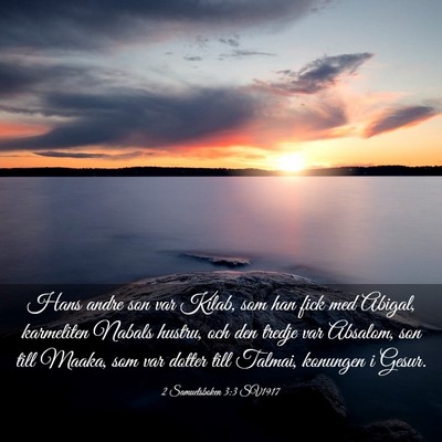 Picture 03 - 2 Samuelsboken 3:3 SV1917 - Hans andre son var Kilab, som han fick med - Bible Verse Picture