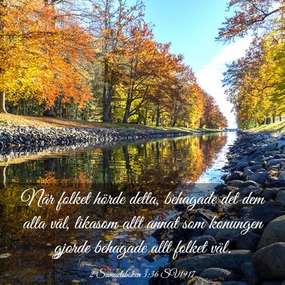 Picture 03 - 2 Samuelsboken 3:36 SV1917 - När folket hörde detta, behagade det dem alla - Bible Verse Picture