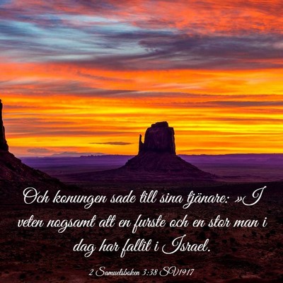 Picture 03 - 2 Samuelsboken 3:38 SV1917 - Och konungen sade till sina tjänare: »I veten - Bible Verse Picture