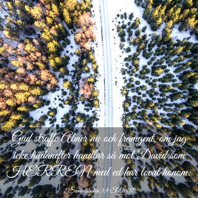Picture 03 - 2 Samuelsboken 3:9 SV1917 - Gud straffe Abner nu och framgent, om jag icke - Bible Verse Picture