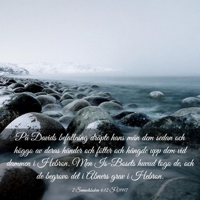 Picture 03 - 2 Samuelsboken 4:12 SV1917 - På Davids befallning dräpte hans män dem sedan - Bible Verse Picture