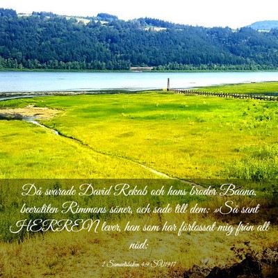 Picture 03 - 2 Samuelsboken 4:9 SV1917 - Då svarade David Rekab och hans broder Baana, - Bible Verse Picture