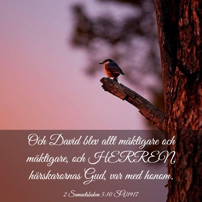 Picture 03 - 2 Samuelsboken 5:10 SV1917 - Och David blev allt mäktigare och mäktigare, - Bible Verse Picture