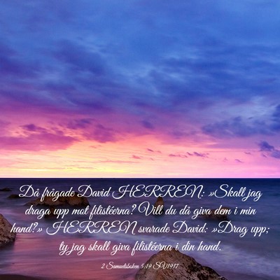 Picture 03 - 2 Samuelsboken 5:19 SV1917 - Då frågade David HERREN: »Skall jag draga upp - Bible Verse Picture