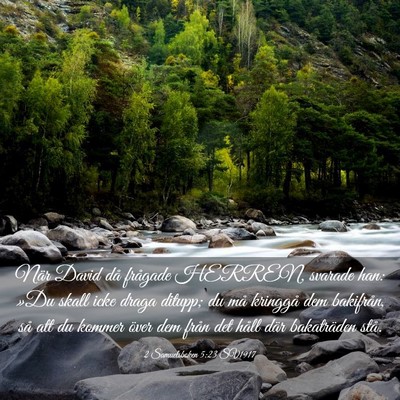 Picture 03 - 2 Samuelsboken 5:23 SV1917 - När David då frågade HERREN, svarade han: »Du - Bible Verse Picture