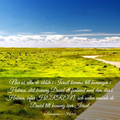 Picture 03 - 2 Samuelsboken 5:3 SV1917 - När så alla de äldste i Israel kommo till - Bible Verse Picture