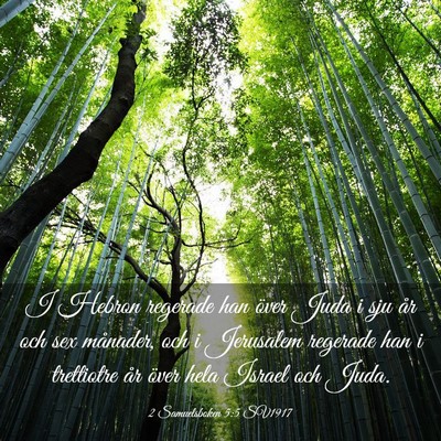 Picture 03 - 2 Samuelsboken 5:5 SV1917 - I Hebron regerade han över Juda i sju år och - Bible Verse Picture