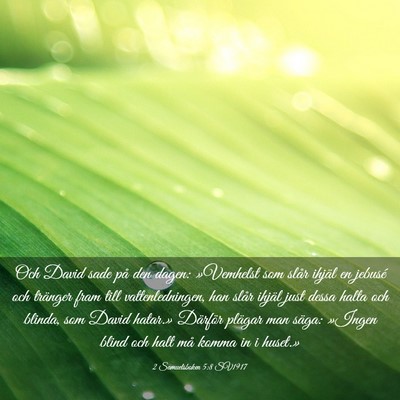 Picture 03 - 2 Samuelsboken 5:8 SV1917 - Och David sade på den dagen: »Vemhelst som - Bible Verse Picture