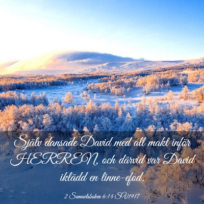 Picture 03 - 2 Samuelsboken 6:14 SV1917 - Själv dansade David med all makt inför HERREN, - Bible Verse Picture
