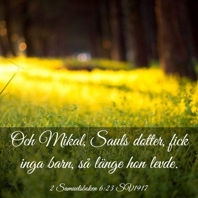Picture 03 - 2 Samuelsboken 6:23 SV1917 - Och Mikal, Sauls dotter, fick inga barn, så - Bible Verse Picture