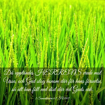 Picture 03 - 2 Samuelsboken 6:7 SV1917 - Då upptändes HERRENS vrede mot Ussa, och Gud - Bible Verse Picture