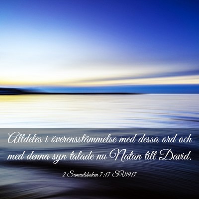 Picture 03 - 2 Samuelsboken 7:17 SV1917 - Alldeles i överensstämmelse med dessa ord och - Bible Verse Picture