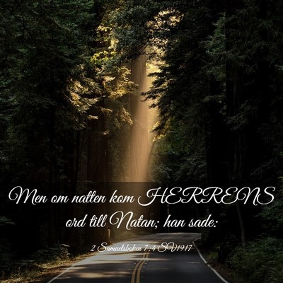 Picture 03 - 2 Samuelsboken 7:4 SV1917 - Men om natten kom HERRENS ord till Natan; han - Bible Verse Picture