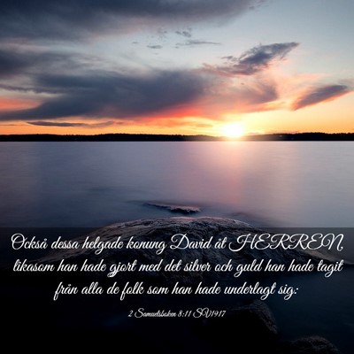 Picture 03 - 2 Samuelsboken 8:11 SV1917 - Också dessa helgade konung David åt HERREN, - Bible Verse Picture