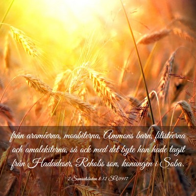 Picture 03 - 2 Samuelsboken 8:12 SV1917 - från araméerna, moabiterna, Ammons barn, - Bible Verse Picture