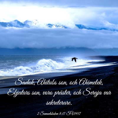 Picture 03 - 2 Samuelsboken 8:17 SV1917 - Sadok, Ahitubs son, och Ahimelek, Ebjatars son, - Bible Verse Picture