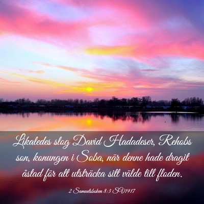 Picture 03 - 2 Samuelsboken 8:3 SV1917 - Likaledes slog David Hadadeser, Rehobs son, - Bible Verse Picture