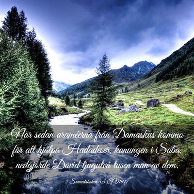 Picture 03 - 2 Samuelsboken 8:5 SV1917 - När sedan araméerna från Damaskus kommo för - Bible Verse Picture