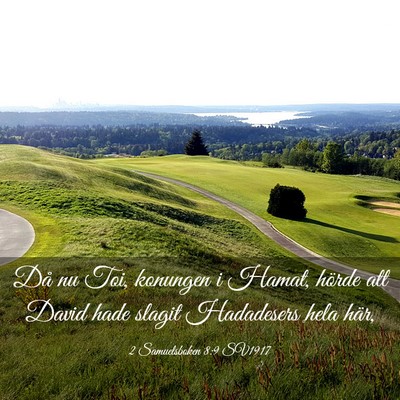 Picture 03 - 2 Samuelsboken 8:9 SV1917 - Då nu Toi, konungen i Hamat, hörde att David - Bible Verse Picture