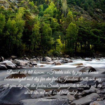 Picture 03 - 2 Samuelsboken 9:7 SV1917 - David sade till honom: »Frukta icke, ty jag vill - Bible Verse Picture