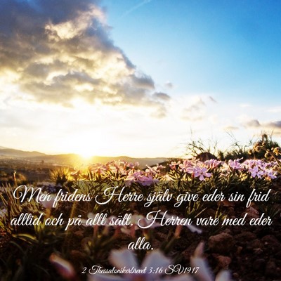 Picture 03 - 2 Thessalonikerbrevet 3:16 SV1917 - Men fridens Herre själv give eder sin frid - Bible Verse Picture