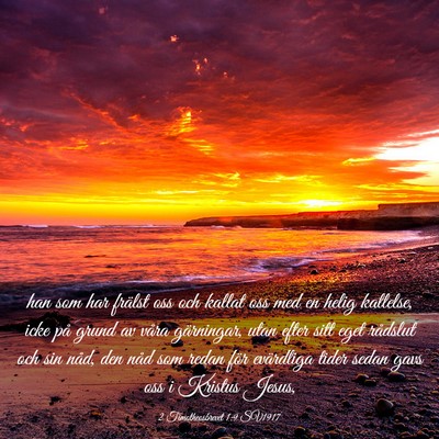 Picture 03 - 2 Timotheosbrevet 1:9 SV1917 - han som har frälst oss och kallat oss med en - Bible Verse Picture