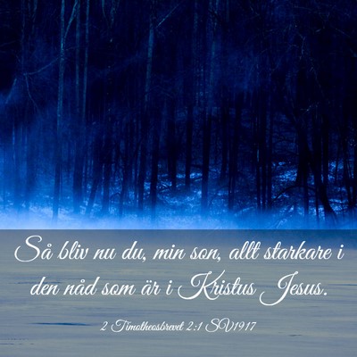 Picture 03 - 2 Timotheosbrevet 2:1 SV1917 - Så bliv nu du, min son, allt starkare i den nåd - Bible Verse Picture