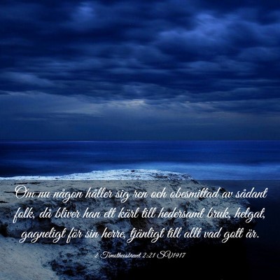 Picture 03 - 2 Timotheosbrevet 2:21 SV1917 - Om nu någon håller sig ren och obesmittad av - Bible Verse Picture