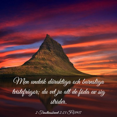 Picture 03 - 2 Timotheosbrevet 2:23 SV1917 - Men undvik dåraktiga och barnsliga - Bible Verse Picture
