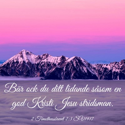 Picture 03 - 2 Timotheosbrevet 2:3 SV1917 - Bär ock du ditt lidande såsom en god Kristi - Bible Verse Picture