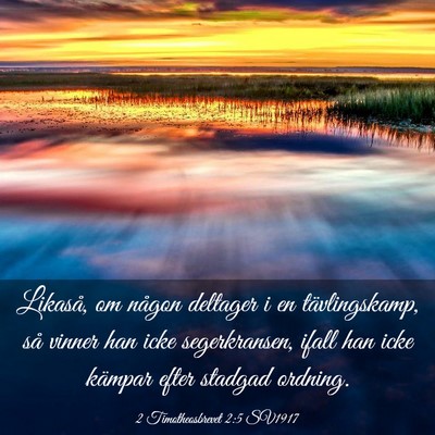 Picture 03 - 2 Timotheosbrevet 2:5 SV1917 - Likaså, om någon deltager i en tävlingskamp, - Bible Verse Picture