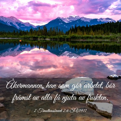 Picture 03 - 2 Timotheosbrevet 2:6 SV1917 - Åkermannen, han som gör arbetet, bör främst - Bible Verse Picture
