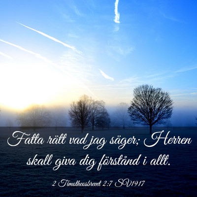 Picture 03 - 2 Timotheosbrevet 2:7 SV1917 - Fatta rätt vad jag säger; Herren skall giva dig - Bible Verse Picture