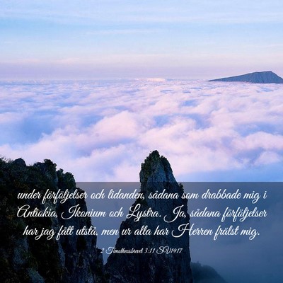 Picture 03 - 2 Timotheosbrevet 3:11 SV1917 - under förföljelser och lidanden, sådana som - Bible Verse Picture