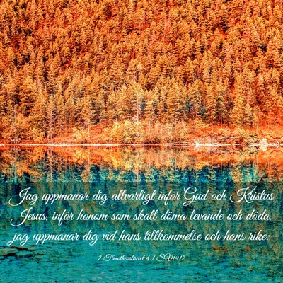Picture 03 - 2 Timotheosbrevet 4:1 SV1917 - Jag uppmanar dig allvarligt inför Gud och - Bible Verse Picture