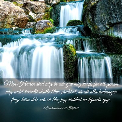 Picture 03 - 2 Timotheosbrevet 4:17 SV1917 - Men Herren stod mig bi och gav mig kraft, för - Bible Verse Picture