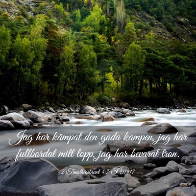 Picture 03 - 2 Timotheosbrevet 4:7 SV1917 - Jag har kämpat den goda kampen, jag har - Bible Verse Picture