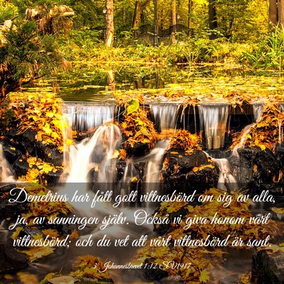 Picture 03 - 3 Johannesbrevet 1:12 SV1917 - Demetrius har fått gott vittnesbörd om sig av - Bible Verse Picture