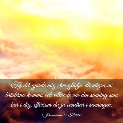 Picture 03 - 3 Johannesbrevet 1:3 SV1917 - Ty det gjorde mig stor glädje, då några av - Bible Verse Picture