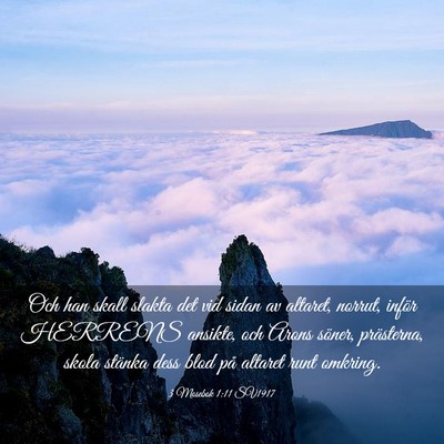Picture 03 - 3 Mosebok 1:11 SV1917 - Och han skall slakta det vid sidan av altaret, - Bible Verse Picture