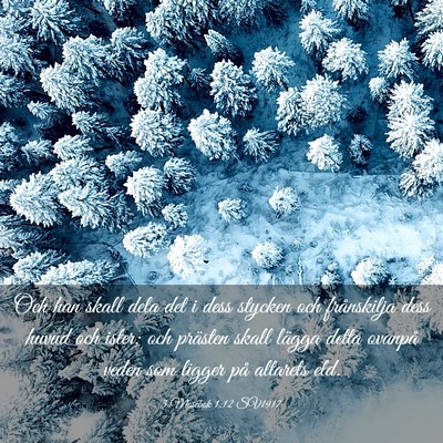Picture 03 - 3 Mosebok 1:12 SV1917 - Och han skall dela det i dess stycken och - Bible Verse Picture