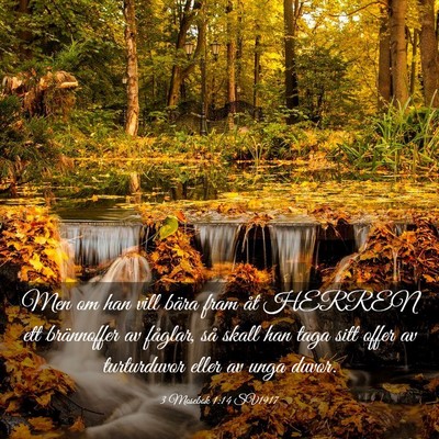 Picture 03 - 3 Mosebok 1:14 SV1917 - Men om han vill bära fram åt HERREN ett - Bible Verse Picture