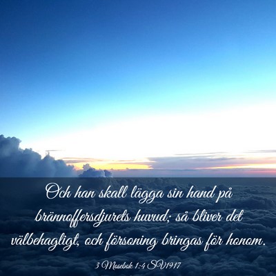 Picture 03 - 3 Mosebok 1:4 SV1917 - Och han skall lägga sin hand på - Bible Verse Picture