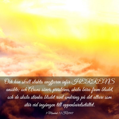 Picture 03 - 3 Mosebok 1:5 SV1917 - Och han skall slakta ungtjuren inför HERRENS - Bible Verse Picture