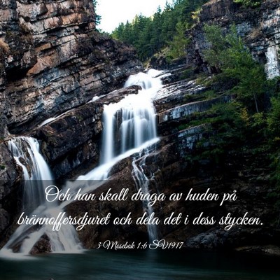 Picture 03 - 3 Mosebok 1:6 SV1917 - Och han skall draga av huden på - Bible Verse Picture