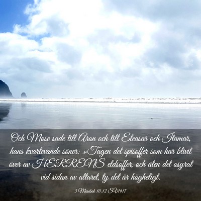 Picture 03 - 3 Mosebok 10:12 SV1917 - Och Mose sade till Aron och till Eleasar och - Bible Verse Picture