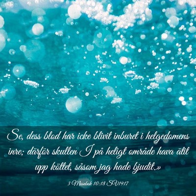Picture 03 - 3 Mosebok 10:18 SV1917 - Se, dess blod har icke blivit inburet i - Bible Verse Picture