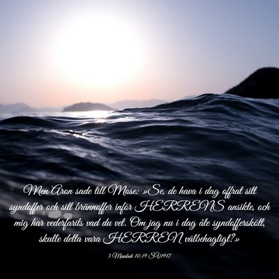 Picture 03 - 3 Mosebok 10:19 SV1917 - Men Aron sade till Mose: »Se, de hava i dag - Bible Verse Picture